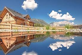 Die steiermark in österreich präsentiert sich als eine perfekte region für einen urlaub, welche den bogen zwischen moderne und tradition mühelos spannen kann. Urlaub Mit Hund In Der Steiermark Ferienwohnungen Und Ferienhauser Mit Haustier