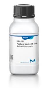 Image result for Peponium