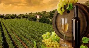 May 01, 2020 · how many of these wine trivia questions do you know the answer to? In Which Century Did French Wine Trivia Questions Quizzclub
