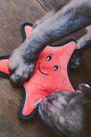 *free* shipping on orders $49+ and the best customer service! 7 Eco Friendly Dog Toys That Aren T Ruff On The Planet