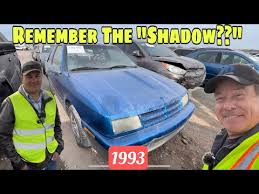 Image result for Wildberry 1993 Shadow