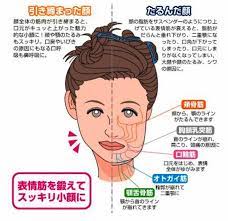 フォローすると痩せるゴマアザラシ on twitter face massage health diet health