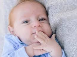 Fundraiser for Alexandra DiTommaso by Cody Levine : Ryan Levine's Park  Bench & Tree