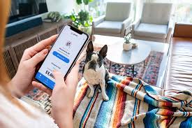 (which ever comes first) the goal is to bring awareness to our rescue. Pawp Isn T Pet Insurance It S 24 7 365 Pet Protection That Pays You Back And It S Just 19 A Month Venturebeat