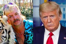 'joe exotic' stopped by to visit stephen colbert from prisonif you missed the bit last night, well joe exotic will attempt to explain himself in new specialinvestigating the strange world of joe exotic is. Joe Exotic S Lawyers So Confident Of Donald Trump Pardon They Ve Booked A Limo To Pick Him Up From Prison Evening Standard
