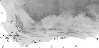 Image result for Cliffortia nitidula