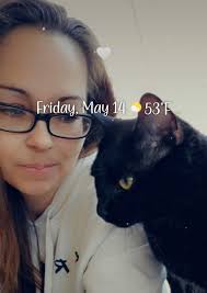 Lost black cat in Pocatello area