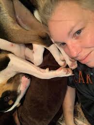 Bull terrier head shape mystery explained