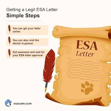 We did not find results for: Qualifying For An Esa Letter The Ultimate 2020 Guide Esa Care
