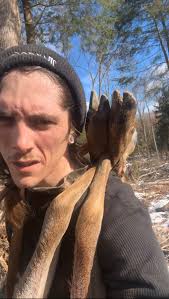 Pennsylvania buck harvested