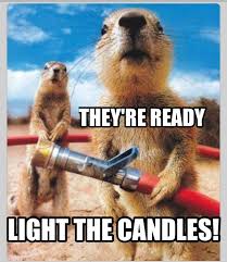 Birthday Humor Funny Animals Funny Birthday Wish Birthday Humor Funny Birthday Cards Birthday Wishes Funny