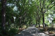 Mindfulness in the Garden: A Guided Forest Bathing Experience
