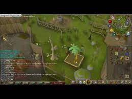 Maybe you would like to learn more about one of these? Runescape Farming Guide Fruit Tree Calquat Locations And How To Get There Youtube