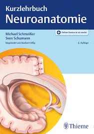 2., aktualisierte auflage lassen sie: Kurzlehrbuch Neuroanatomie 9783131429520 Thieme Webshop