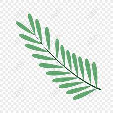 Gambar baru diunggah setiap minggu. Daun Vector