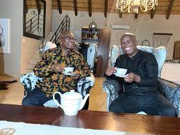 Something went wrong, please try again later. No Party Colours At Zuma Malema Tea Party And No Comment Either News24