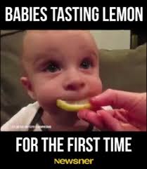 It S Hilarious When Babies Do This Funny Videos For Kids Funny Babies Funny Baby Memes