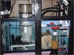 Aquarium sump: What they are and best aquarium sump reviews