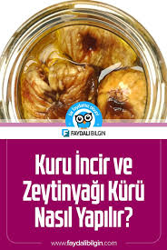 Kuru Incir Ve Zeytinyagi Kuru Nasil Yapilir Faydali Bilgin Incir Herboloji Zeytinyagi