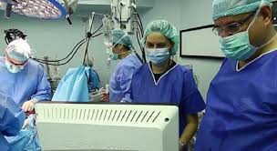 Savarina de weekend este un pamflet si trebuie tratat ca atare. Recorduri Inedite Care Este Cel Mai Mare Organ Intern Al Omului Observatornews Ro