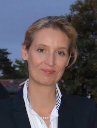 Alice weidel provoziert und profitiert. Alice Weidel Die Deutsche Barbara Streisand Dobschat Io