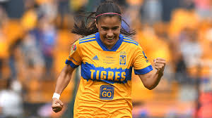 Maybe you would like to learn more about one of these? Tigres Campeonas Palmares Y Tabla De Todos Las Campeonas De Liga Mx Femenil Ultimas Noticias Futbol Mundial