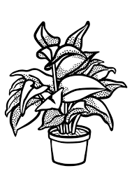 Image information image title : 247 Plants Coloring Pages Free Printable Coloring Pages