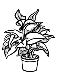 Printable coloring and activity pages are one way to keep the kids happy (or at least occupie. 247 Plants Coloring Pages Free Printable Coloring Pages