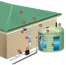 rainwater harvesting 101 your how to collect rainwater guide