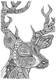 We have compiled for you a large collection of images with different animals. Coloring Pages For Adults Animals Coloring Home