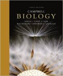 Ebook Sakti Para Juara Olimpiade Biologi Campbell Tenth Edition Rohmatchemistry S Blog