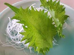 What is Tsuma? | Sushiblog－Sushiuniversity