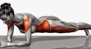 「stomach fat loss」的圖片搜尋結果