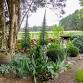 Open Gardens SA – St Mary’s Vineyard event image