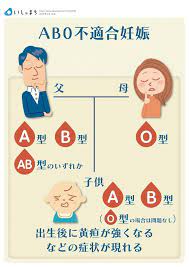 abo型不適合妊娠 血液型不適合妊娠 お母さんと赤ちゃんの血液のタイプが違うこと 出生後に黄疸が強くなる 免疫反応 胎児水腫 いしゃまち 病気 症状 ishamachi infographics follow 妊娠 看護ノート 流産