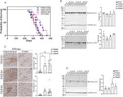 APOE isoform influences survival and tauopathy burden in PS19 mice....