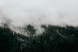 Browse wallpaperwolf's best selection of high quality background wallpapers on any device 30 000 Best Desktop Wallpaper Photos 100 Free Download Pexels Stock Photos