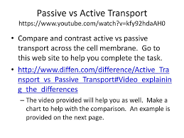 cells and cellular transport ppt download