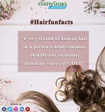 Pin On Hair Facts