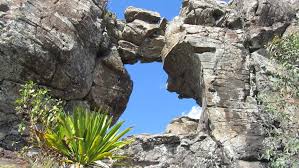 Maybe you would like to learn more about one of these? Bush Walk 6 Hole In The Wall Main Range Np Goomburra Section My Adventures