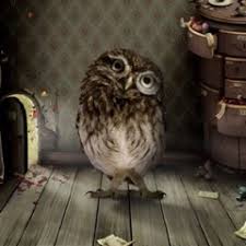 Torrent file content (1 file). Amalia Moise 2 S Stream