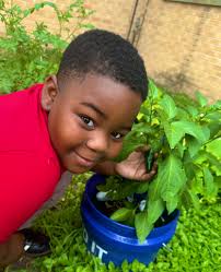 Emily Medrano (@EmilyMe10531515)