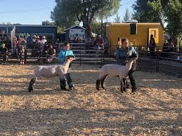 September/October 2019