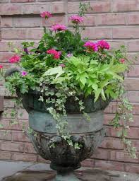 Hours may change under current circumstances About Planterly