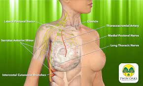 Pectoral muscles (colloquially referred to as pecs) are the muscles that connect the front of the human chest with the bones of the upper arm and shoulder. Pecs Block Crna Conferences Twin Oaks Anesthesia