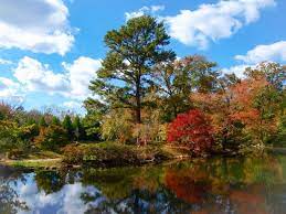 Scenic Virginia Sept 16 201 Scenic Virginia Photo