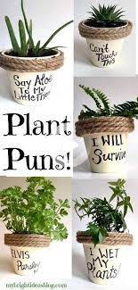 Plant Puns On Painted Potted Flower Pots Adorable Gift Idea To Make Them Smile Plants Painted Flower Pots Plant Puns Plant Puns Flower Pots Painted Flower Pots