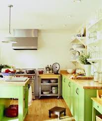 lime green kitchen cabinets (32)++