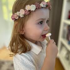 Flower Crown Baby's Breath, Bridal Headpiece, Hair Wreath, Fairy  Crown,wedding Hair Accessories Headband in Dusty Pink, Mauve, Rose, Blush