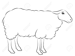 Tumblr tekeningen liefdes tekeningen eenvoudig tekeningen dieren tekeningen potloodtekeningen dingen om te tekenen creativiteit. Schets Van Een Schaap Op Wit Wordt Geisoleerd Royalty Vrije Cliparts Vectoren En Stock Illustratie Image 30656779